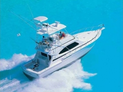 Bertram 450