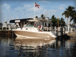Robalo R 305