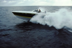 Magnum Marine 45